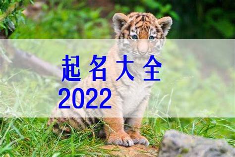 2022年虎寶寶幾月出生最好|2022年属虎的宝宝几月出生最好 2022年属虎的宝宝几月份好